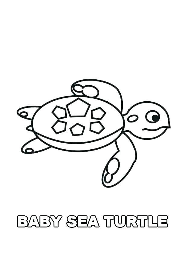 600x842 Sea Turtle Pictures To Color Green Sea Turtle Coloring Page Pages
