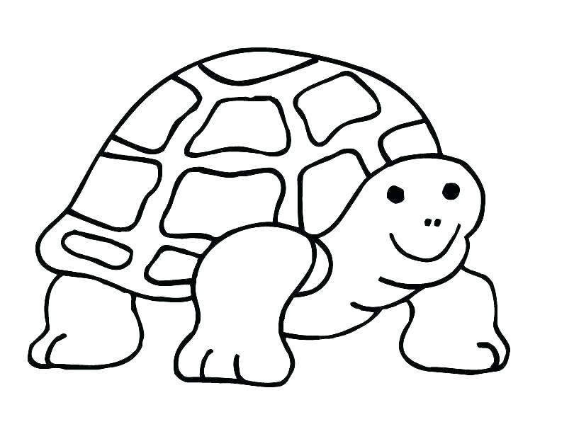 810x630 Coloring Page Of Turtle