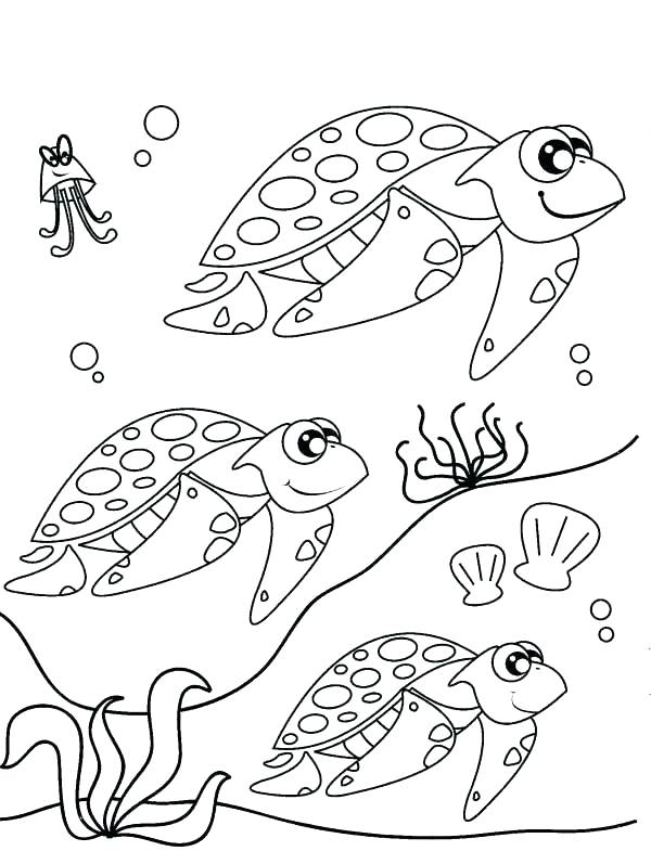 600x797 Cute Turtle Coloring Pages Print