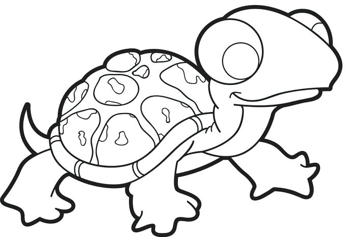 700x466 Baby Turtle Coloring Page Free Printable Turtle Coloring Page
