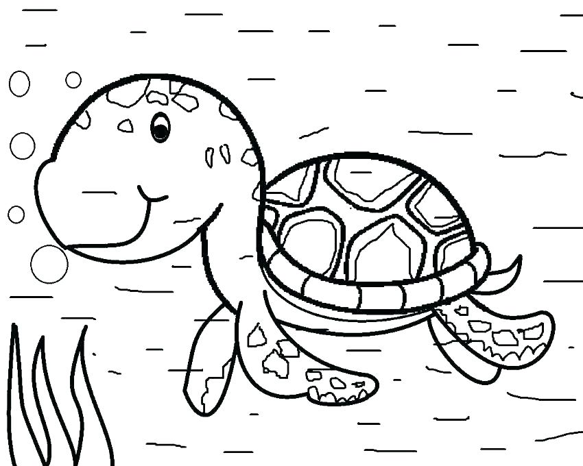 850x680 Baby Turtle Coloring Pages Printable Turtle Coloring Pages