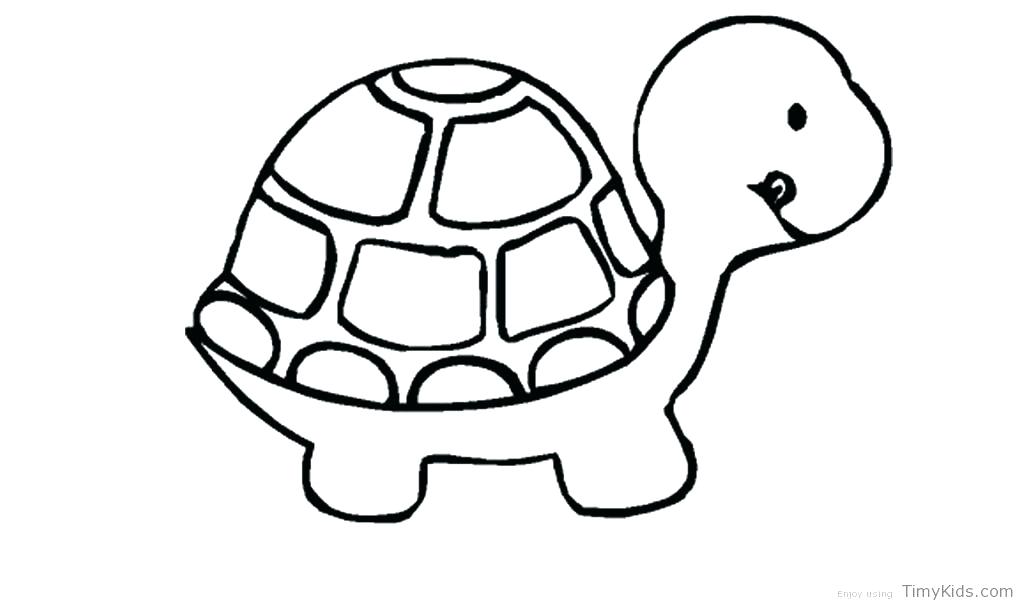 1024x606 Coloring Page Turtle Remarkable Turtle Pictures To Print Coloring