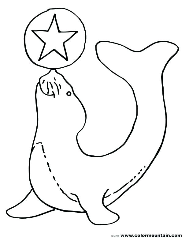 618x787 Coloring Baby Seal Coloring Pages Page Cute Old Navy Harp Baby