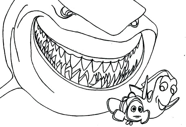 600x412 Shark Coloring Book Together With Coloring Pages Of Sharks Sharks