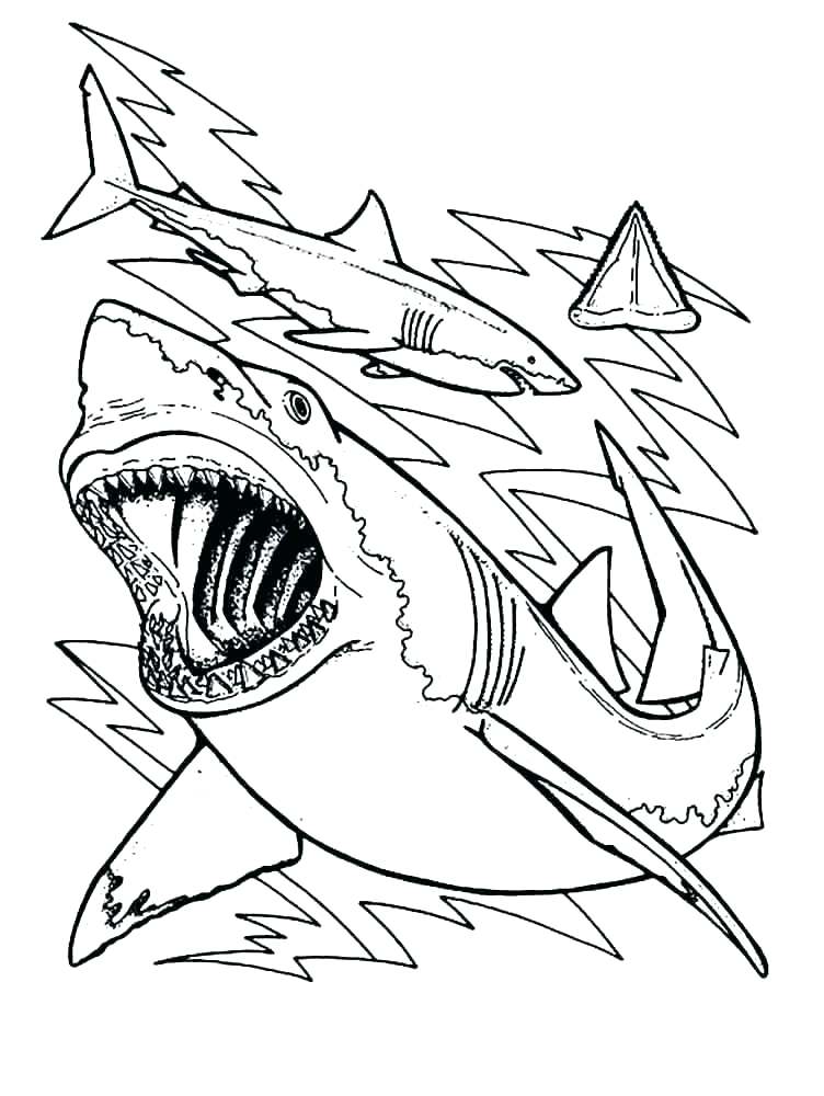 752x1000 Tiger Shark Coloring Page Free Shark Coloring Pages Shark Coloring