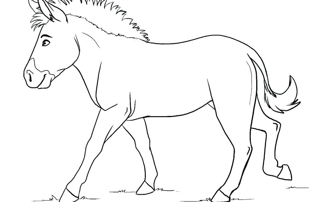 1024x669 Zebra Coloring Page Zebra Coloring Page Without Stripes Shark Cute