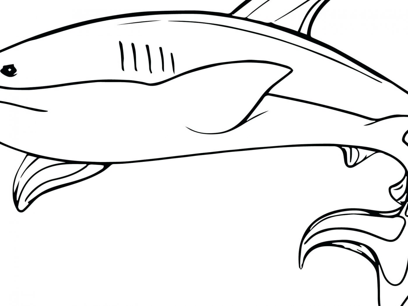 1400x1050 Dazzling Coloring Pages Sharks Shark Pictures To Color Megalodon