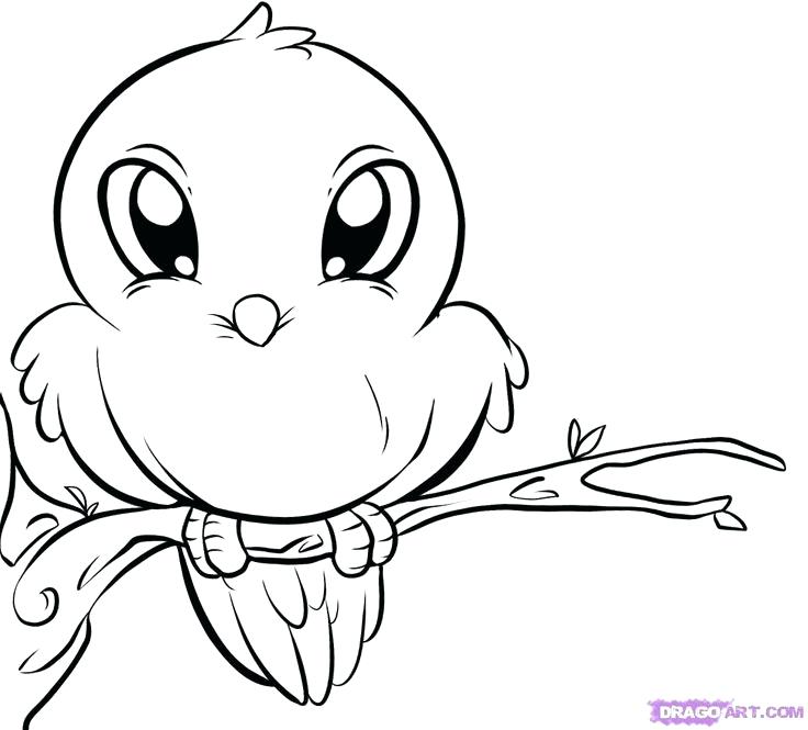 736x665 Simple Animal Coloring Pages Sea Animal Coloring Pages Simple