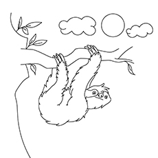 230x230 Top Sloth Coloring Pages For Your Toddler