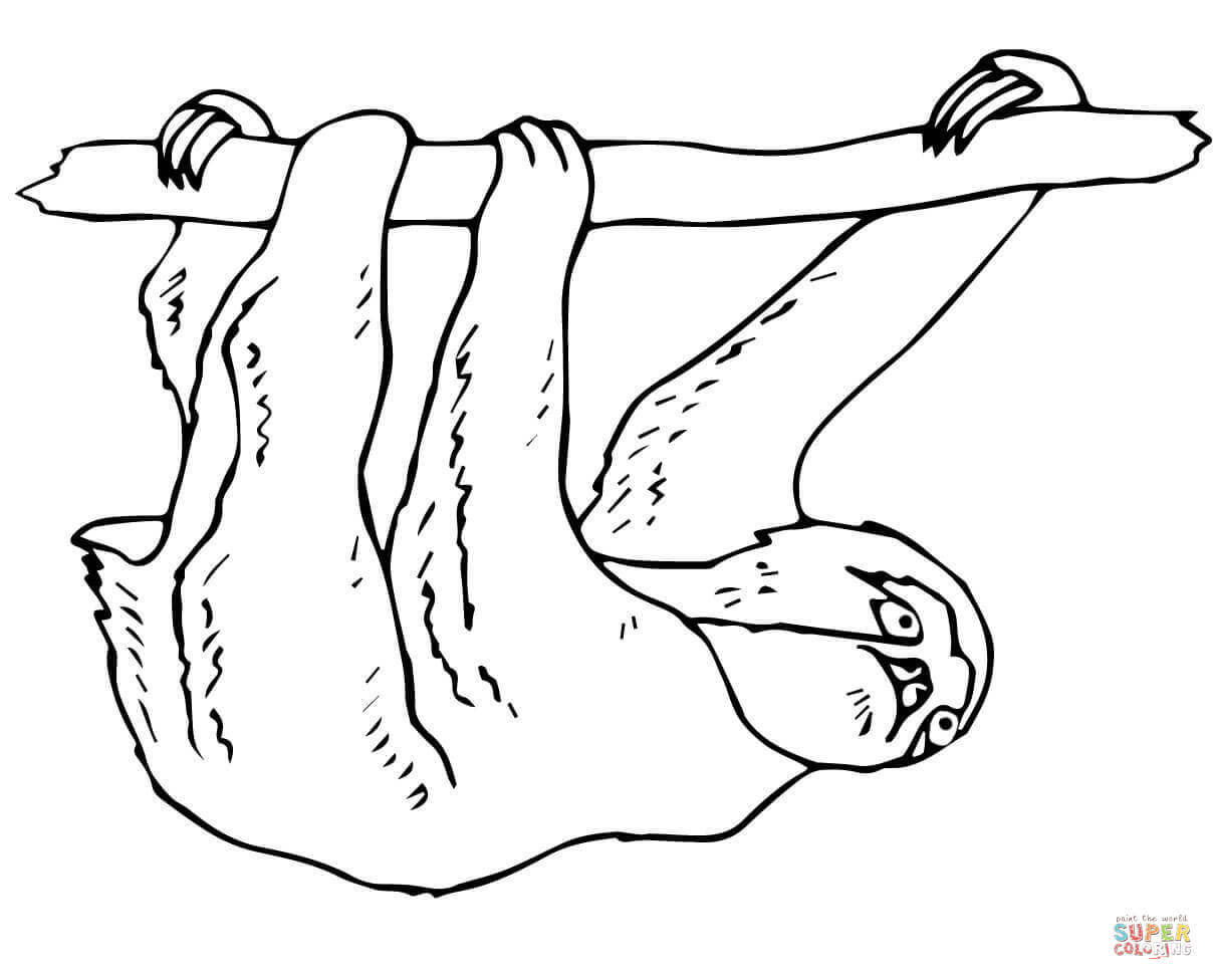 1208x976 Sloths Coloring Pages Free Coloring Pages Sloth Coloring Page