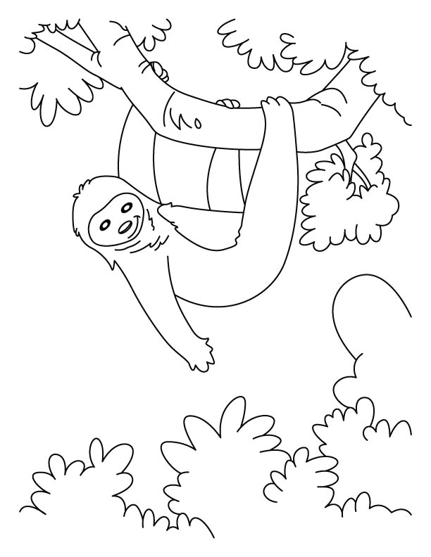 612x792 Drawn Sloth Coloring Page