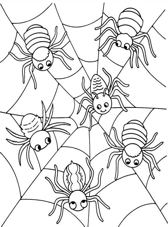 561x758 Halloween Spider Coloring Page