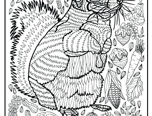 500x383 Squirrel Coloring Page Basset Hound Coloring Pages Squirrel