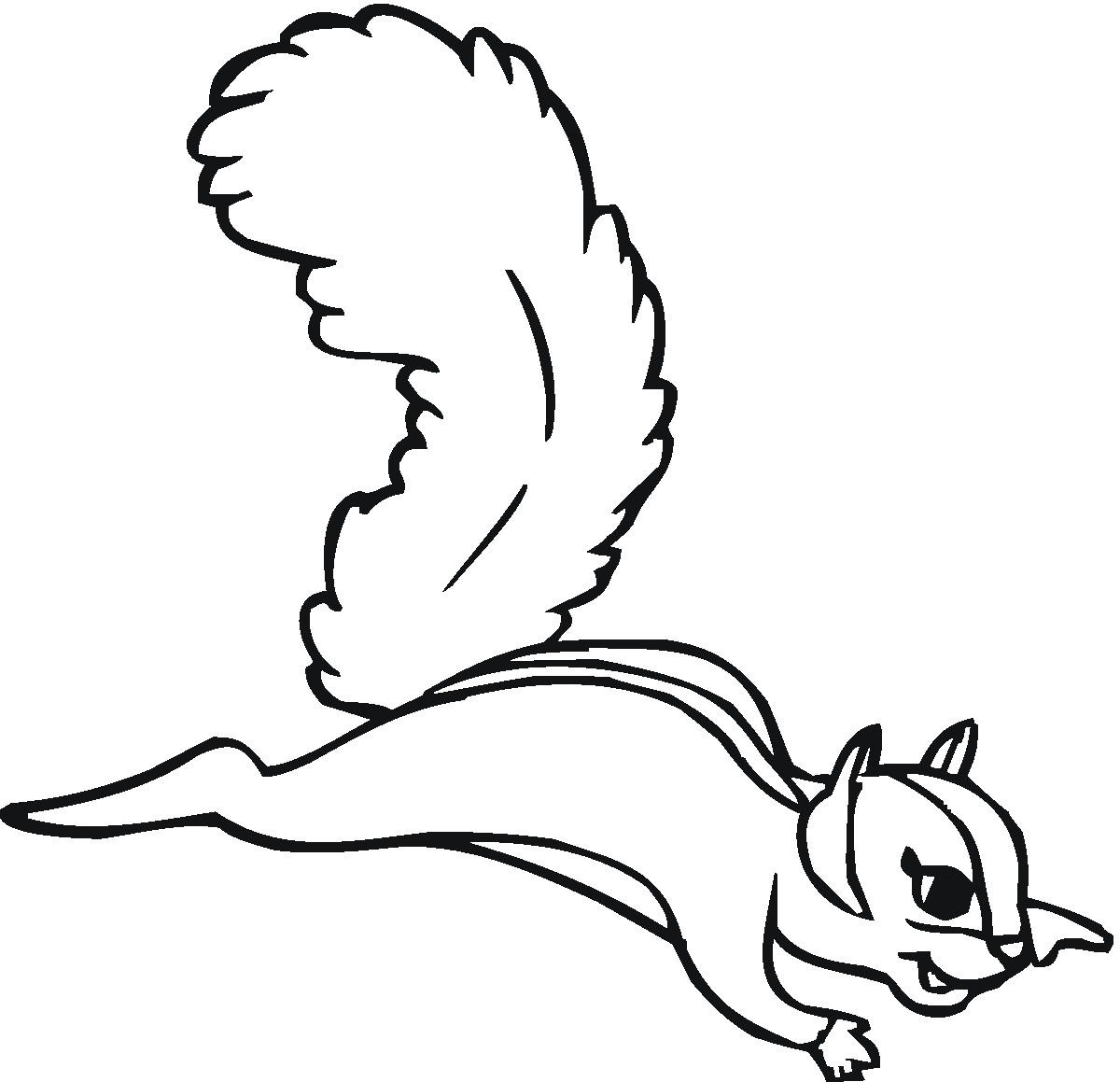 1200x1159 Squirrel Coloring Pages