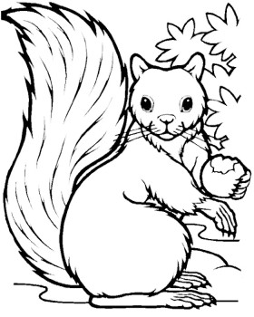 280x350 Squirrel Eat Fruit Coloring Pages Kids Coloring Pages