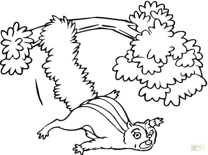 728x541 Cute Squirrel Coloring Pages