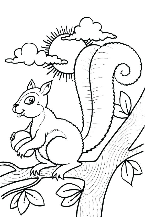 567x850 Squirrel Coloring Pages