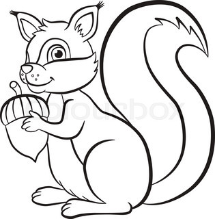 315x320 Coloring Page Little Cute Squirrel Sits On The Banch Of A Tree