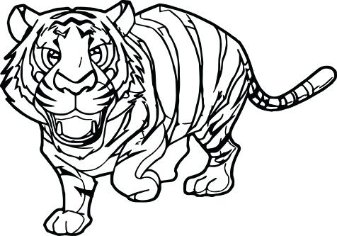 476x333 Cute Tiger Coloring Pages Birds Cute Tiger Coloring Page Coloring