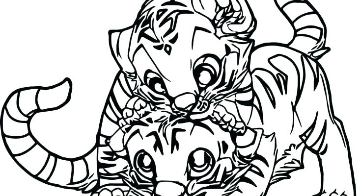 735x400 Free Coloring Pages Of Tigers For Adults Cute Tiger Cub Coloring