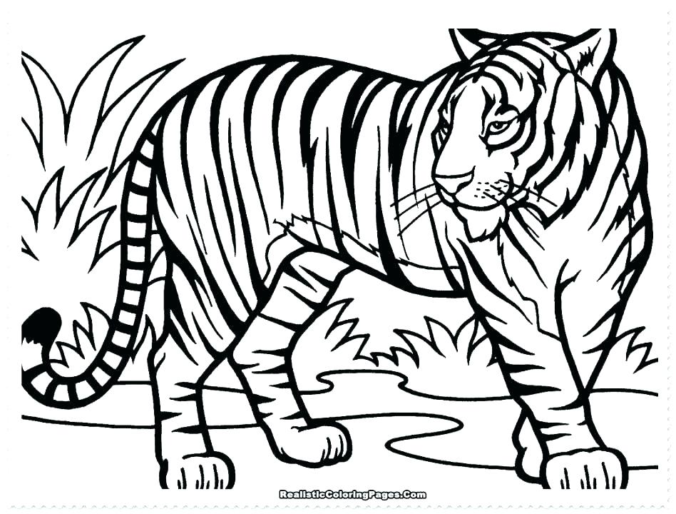 948x720 White Tiger Coloring Pages Baby Tiger Coloring Pages Best Of Baby