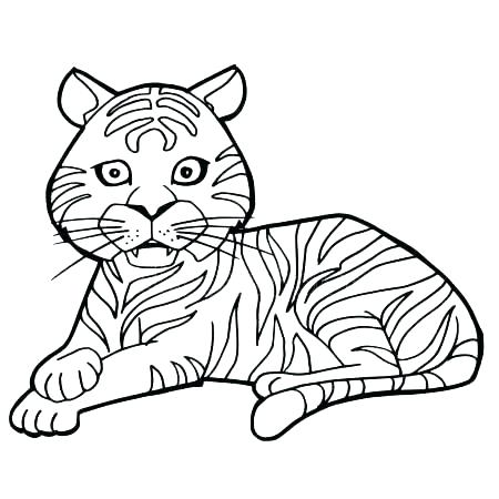 450x450 White Tiger Coloring Pages Cute Tiger Coloring Pages Cartoon Page