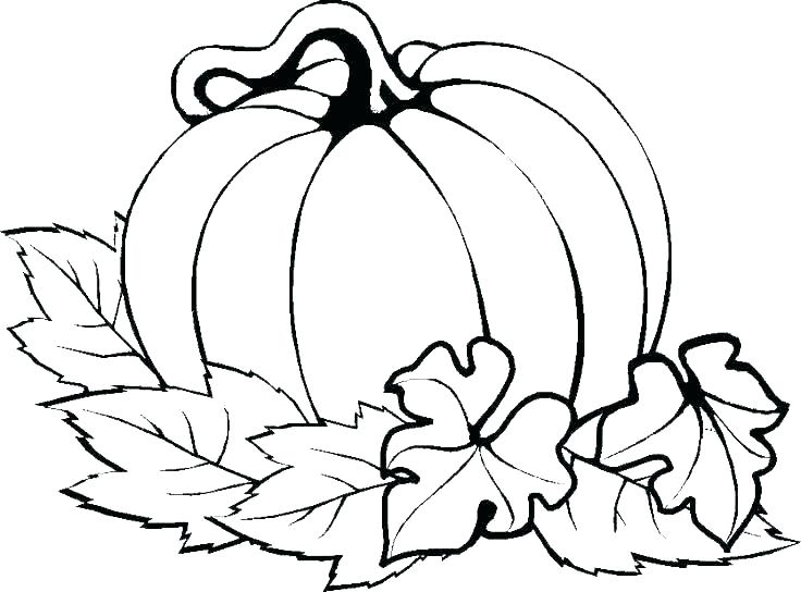 736x544 Turkey Coloring Pages For Preschoolers Coloring Pages Turkey Cute