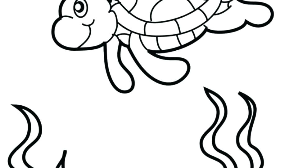 960x544 Turtle Coloring Page Turtles Worksheets Kindergarten Turtle
