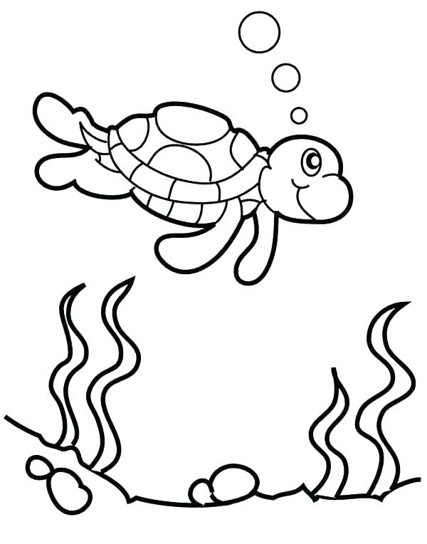 600x764 Cute Turtle Coloring Pages