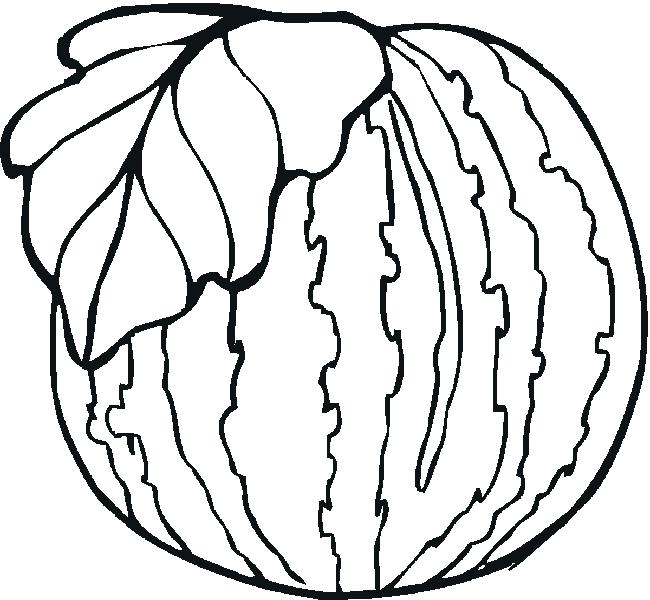 650x600 Watermelon Coloring Page Watermelon Coloring Pages With Leafs