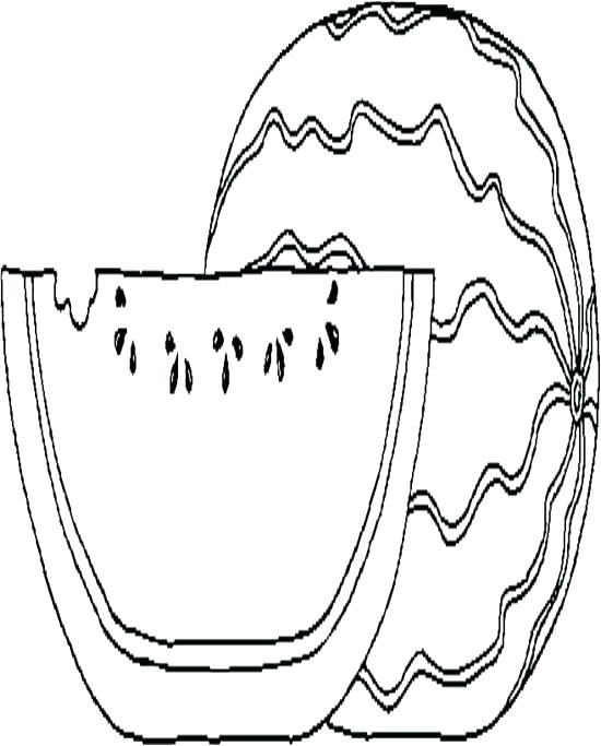 550x683 Watermelon Coloring Sheets Colouring Page Pencil And In Color