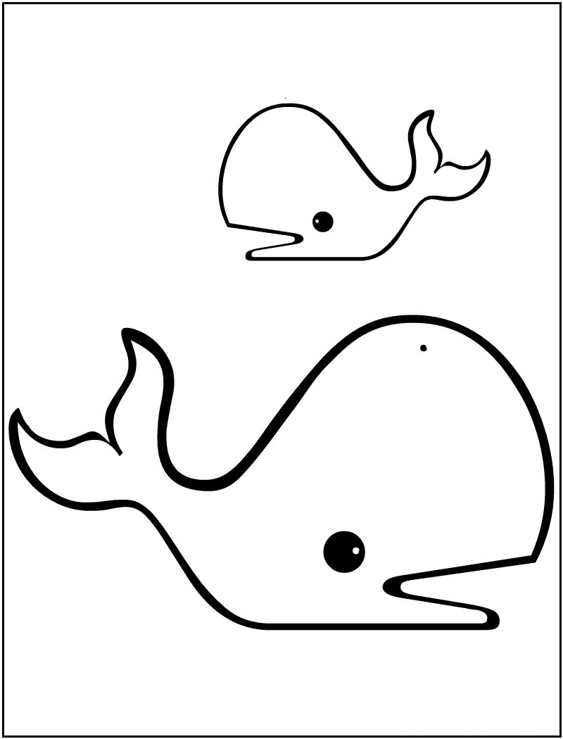 800x1050 Emerging Pictures Of Whales To Color Whale Coloring Page