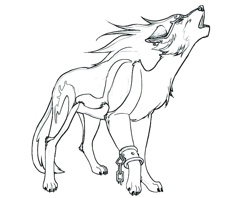 800x667 Cute Wolf Coloring Pages Cute Wolf Coloring Pages Coloring