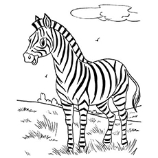 230x230 Top Free Printable Zebra Coloring Pages Online