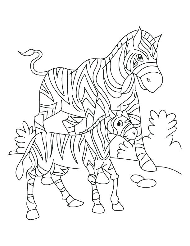 612x792 Zebra Color Sheet Free Coloring Page Zebra Zebra Color Sheet Zebra