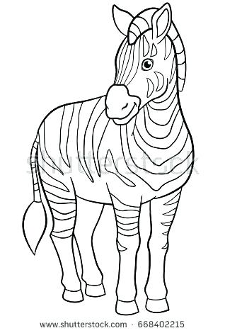 318x470 Baby Zebra Coloring Pages Zebra Mother Standing With Its Just Born