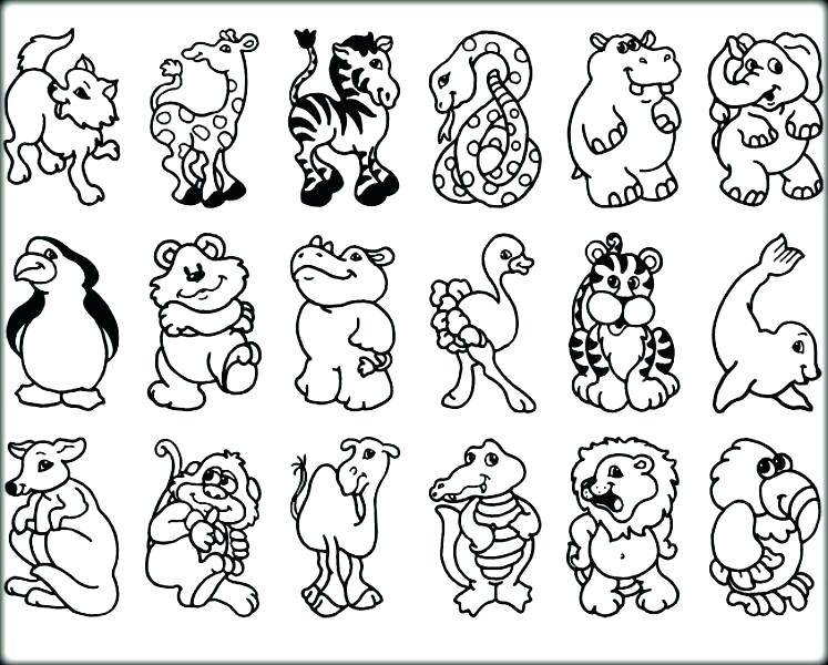 747x600 Coloring Pages To Print Of Animals Zoo Animals Coloring Page Cute