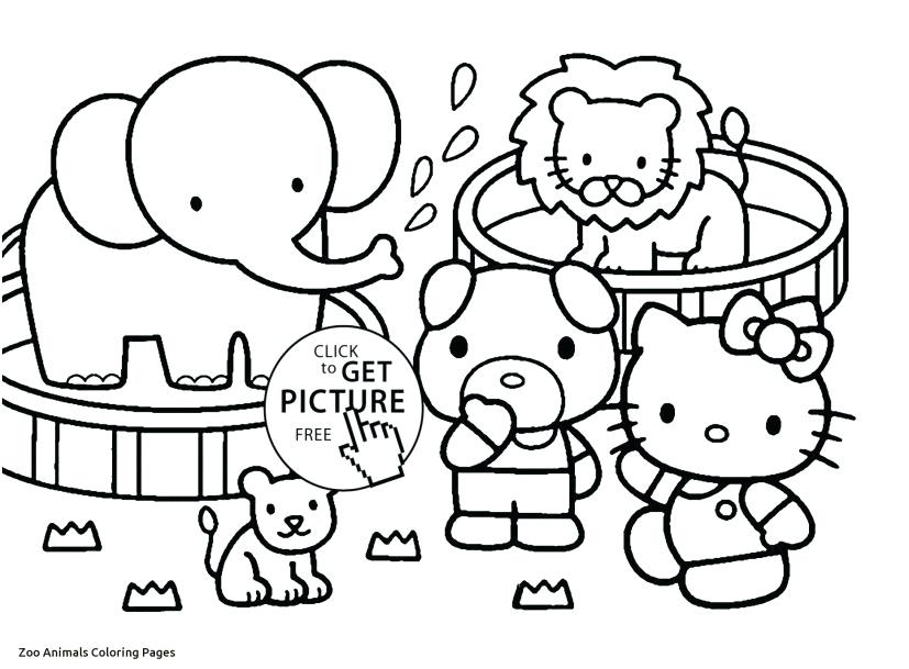 827x609 Safari Animals Coloring Pages Cute Zoo Animal Coloring Pages