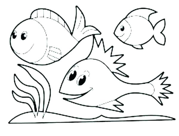 600x458 Zoo Animal Coloring Page Coloring Pages Zoo Zoo Animals Coloring