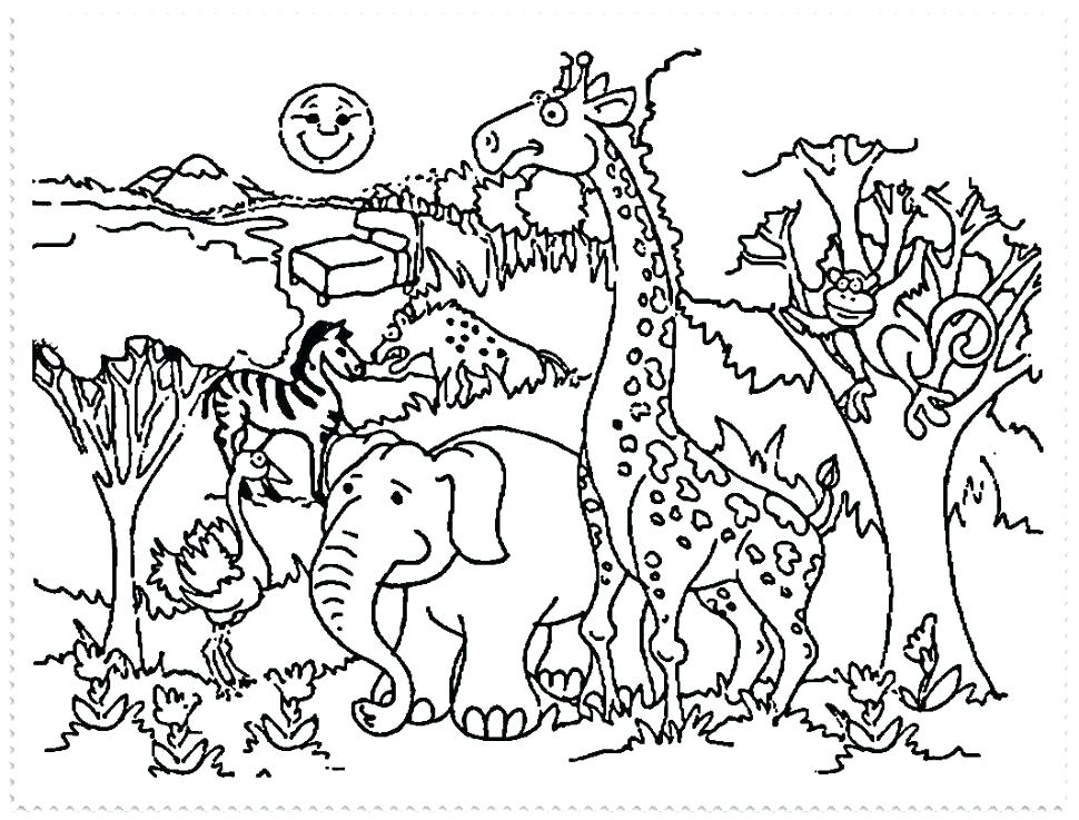 970x737 Zoo Animal Coloring Page Lofty Idea Zoo Animals Coloring Pages