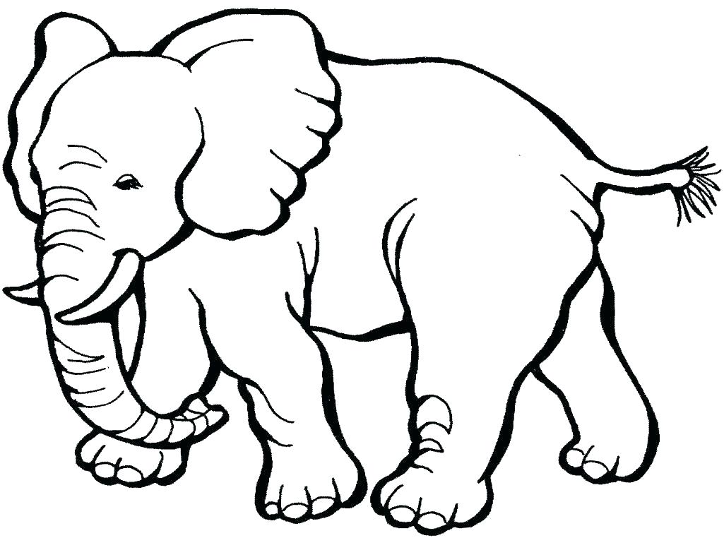1025x762 Zoo Animals Coloring Page Cute Animal Print Animal Print Coloring