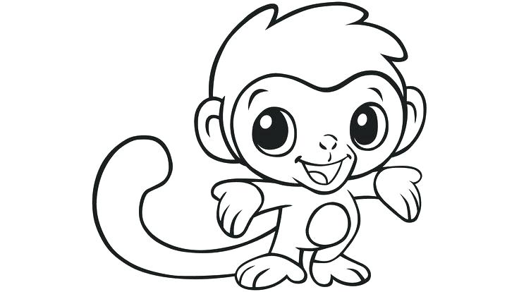 736x414 Animals Coloring Pages