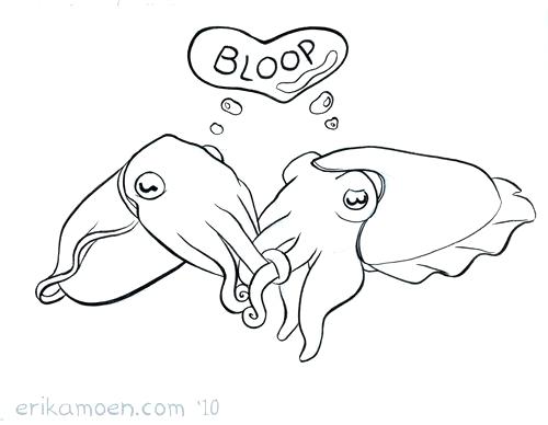500x388 Cuttlefish Coloring Pages Cuttlefish Clip Art Cuttlefish Drawing