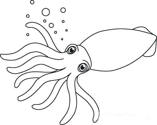 550x438 Cuttlefish Coloring Pages Cuttlefish Coloring Pages Squid Coloring