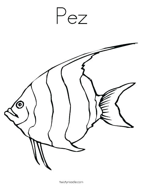468x605 Cuttlefish Coloring Pages Eel Coloring Pages Eel Coloring Page Eel
