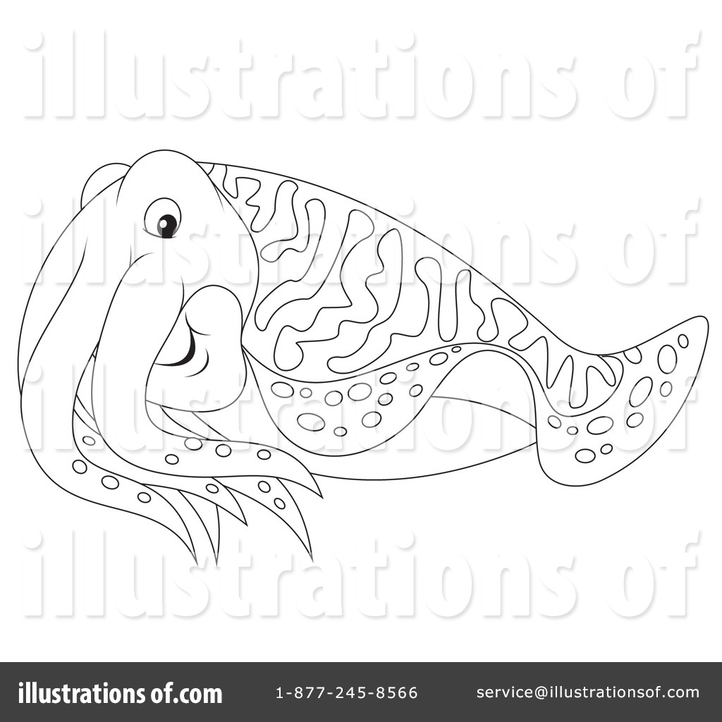 1024x1024 Cuttlefish Clipart