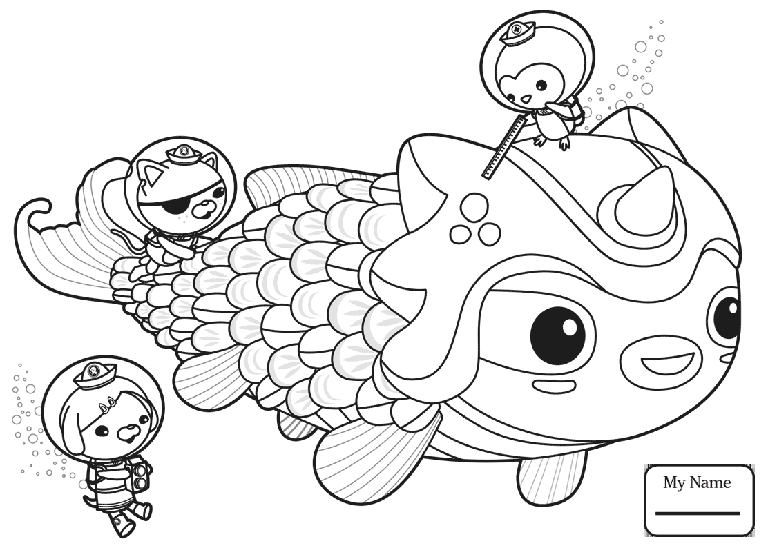1112x794 Cuttlefish Coloring Pages