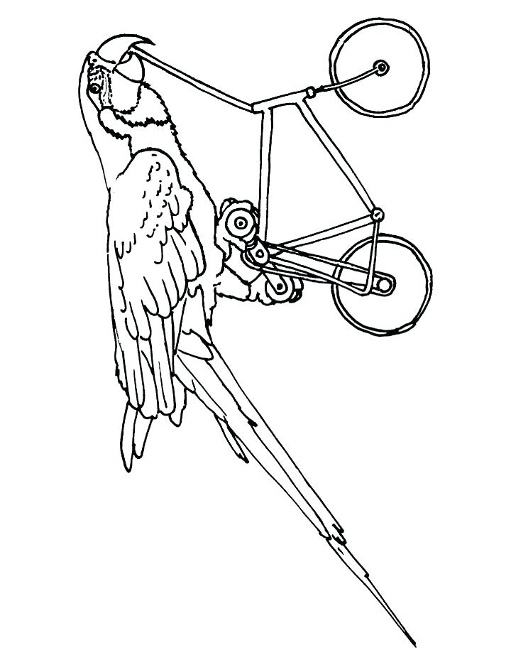 720x936 Macaw Coloring Pages Macaw Cycling Coloring Page Blue Macaw