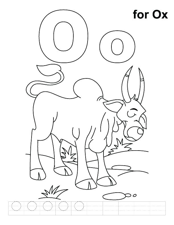 612x792 Letter O Coloring Pages O Coloring Page Alphabet Letter Coloring O