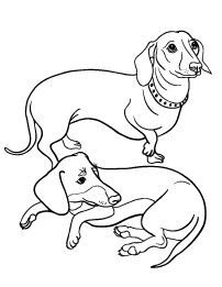 202x261 Beautiful Dachshund Coloring Pages